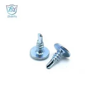 ફેક્ટરી ડાયરેક્ટ સેલ ઇપોક્રી કોટેડ સેલ્ફ ડ્રિલિંગ સ્ક્રુ ફ્લેટ મોડિફાઇ ટ્રસ હેડ સેલ્ફ ડ્રિલિંગ સ્ક્રુ પ્રીમિયમ ગુણવત્તા માટે સેલ્ફ ડ્રિલિંગ રુડિંગ સ્ક્રુ